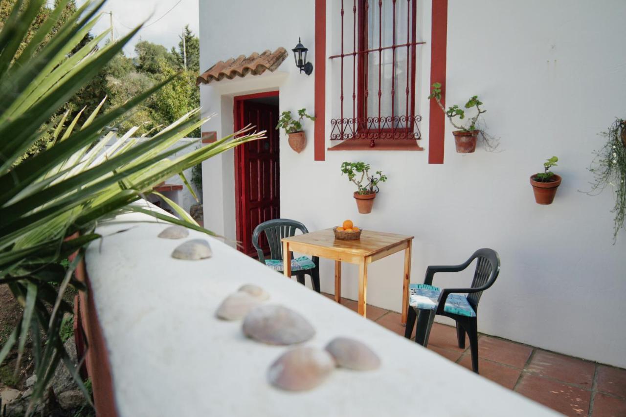 Casa Montecote Eco Resort 贝赫尔-德拉弗龙特拉 外观 照片