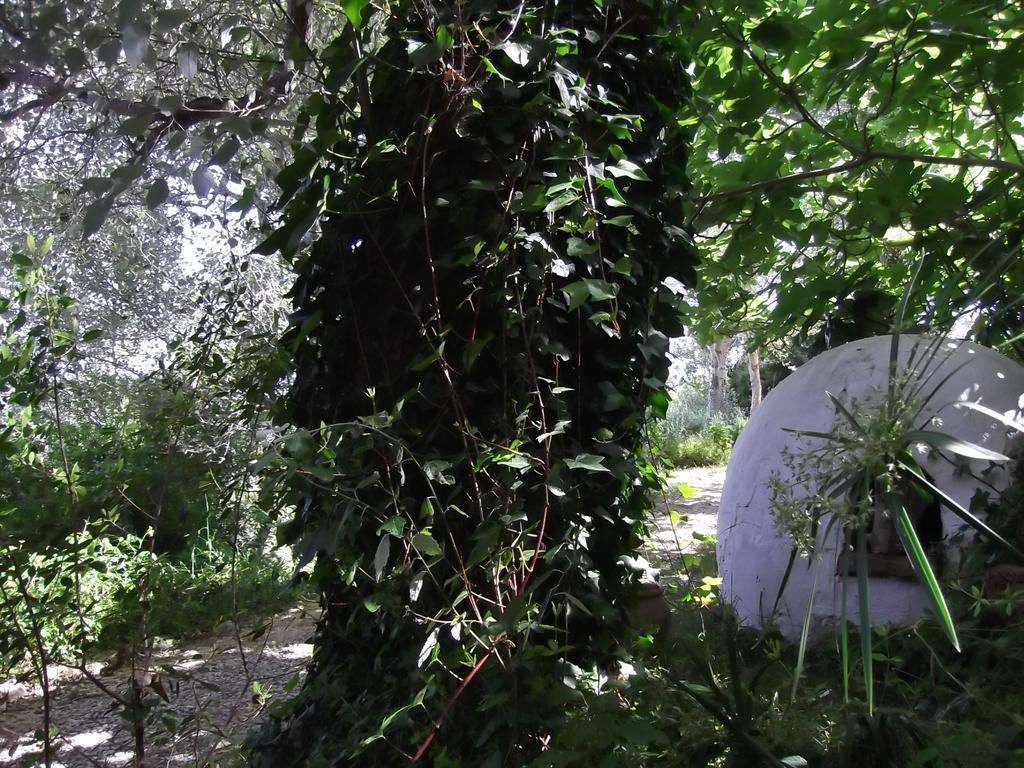 Casa Montecote Eco Resort 贝赫尔-德拉弗龙特拉 外观 照片